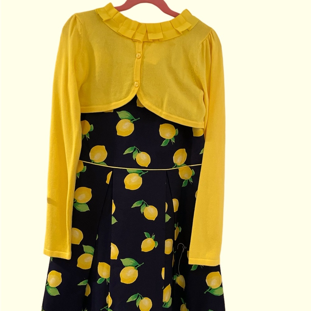 COPY - NWT Girls Sweater & Dress Set (8)